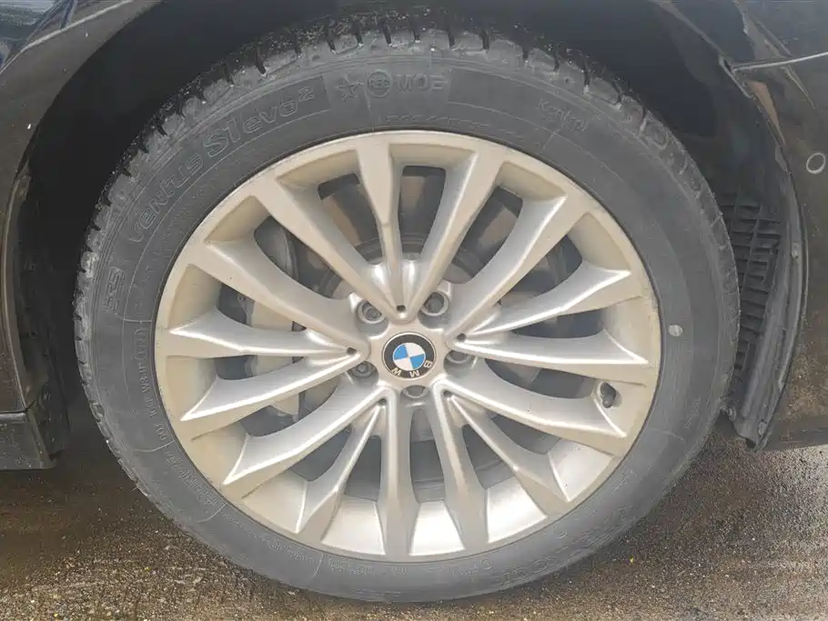 BMW 5 Series 2018 Facelift 530Li Leading Luxury Package фото 6