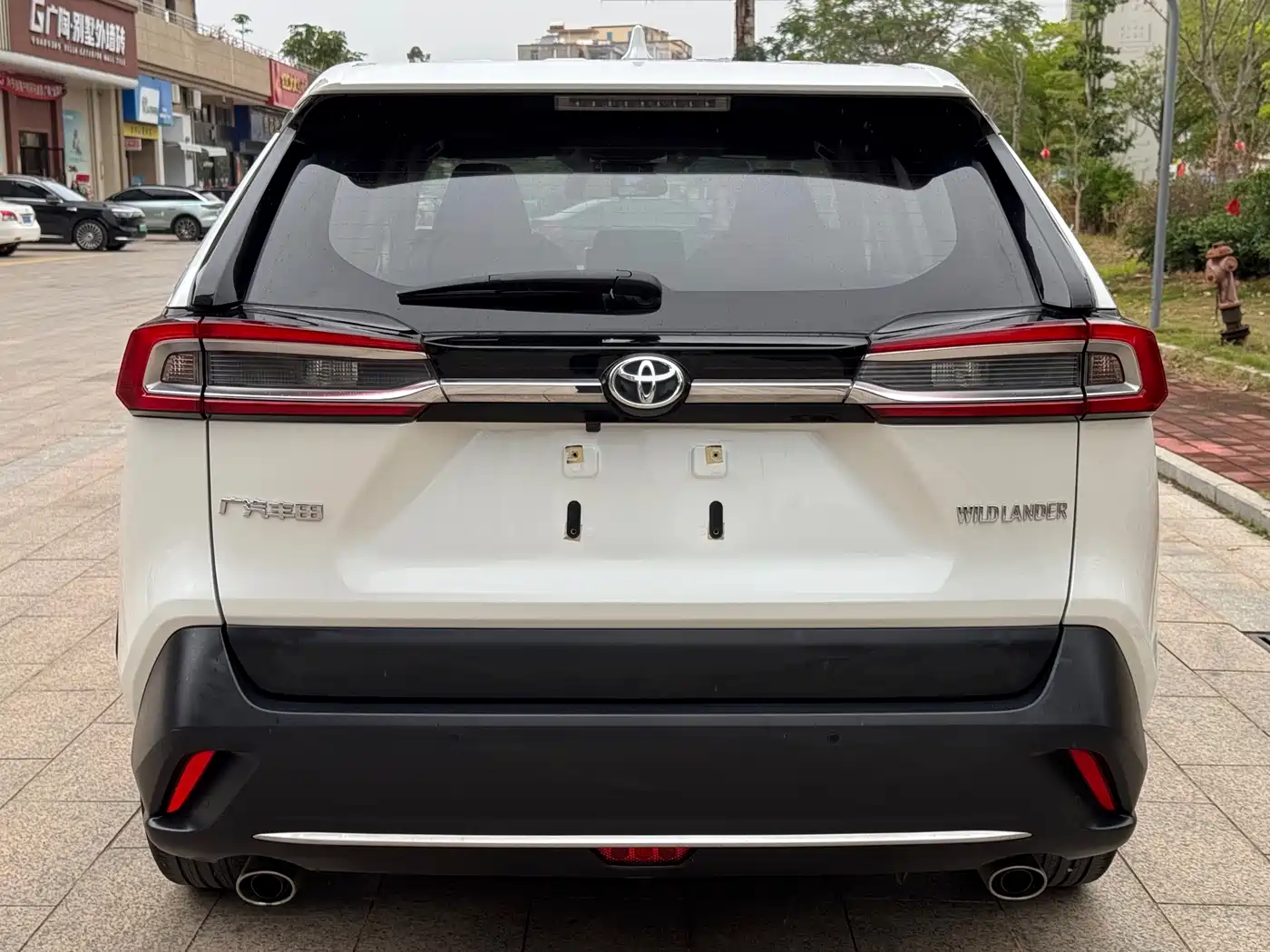Toyota Wildlander 2020 2.0L CVT 2WD Luxury Edition фото 4
