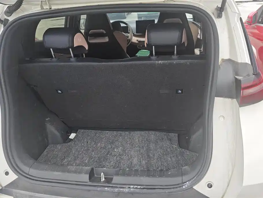 BYD Seagull 2024 Glory Edition 305km Vitality Edition фото 4