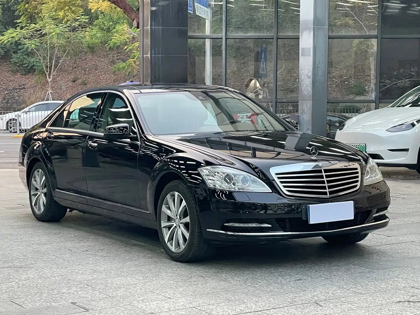 Mercedes-Benz S-Class 2010 S 300 L Premium фото 3