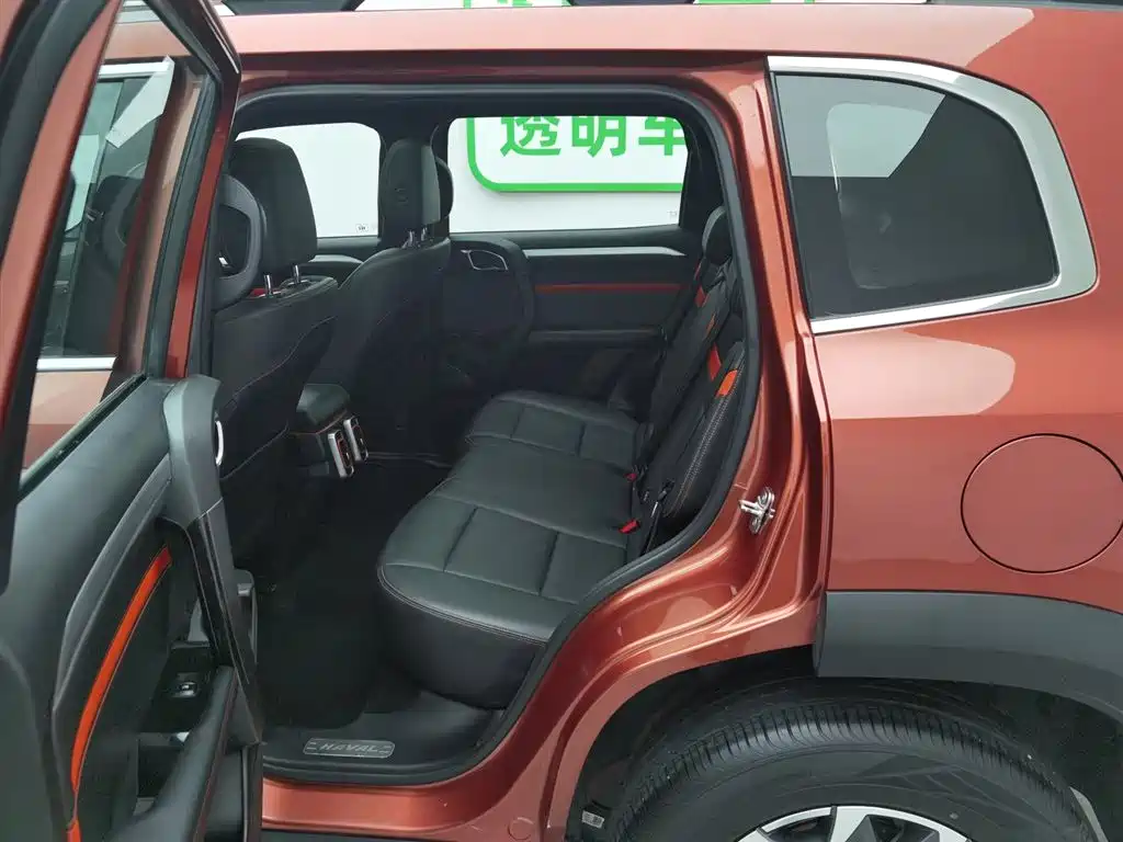 Haval Big Dog 2021 2.0T DCT 4WD Chinese Rural Dog Edition фото 15