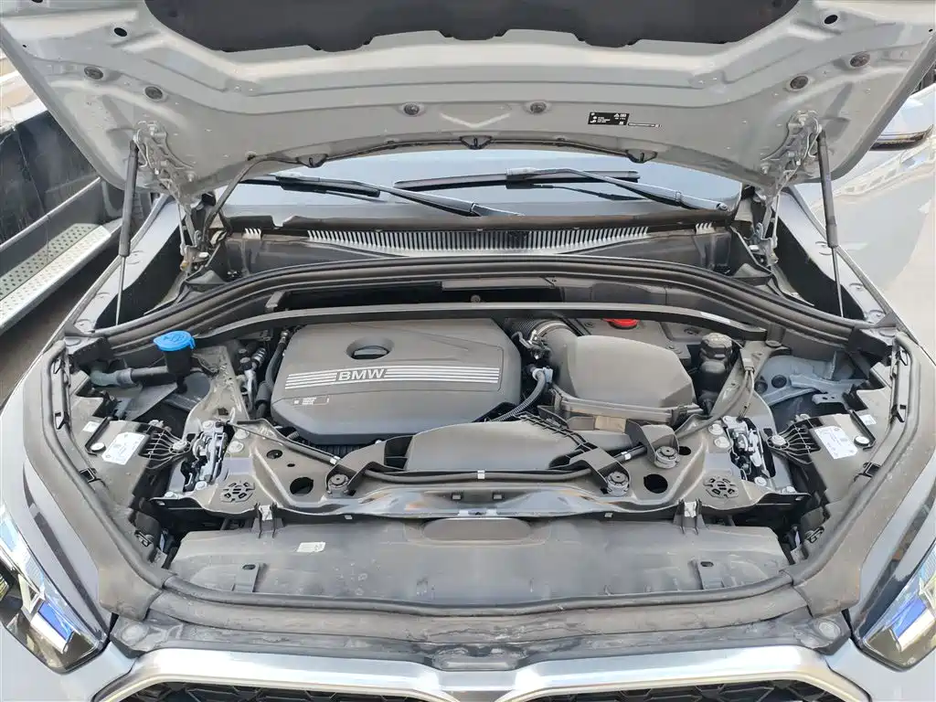 BMW X2 (Import) 2024 sDrive25i M Sport Package фото 14