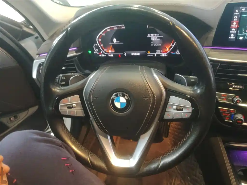 BMW 5 Series 2020 530Li Premium Luxury Package фото 11