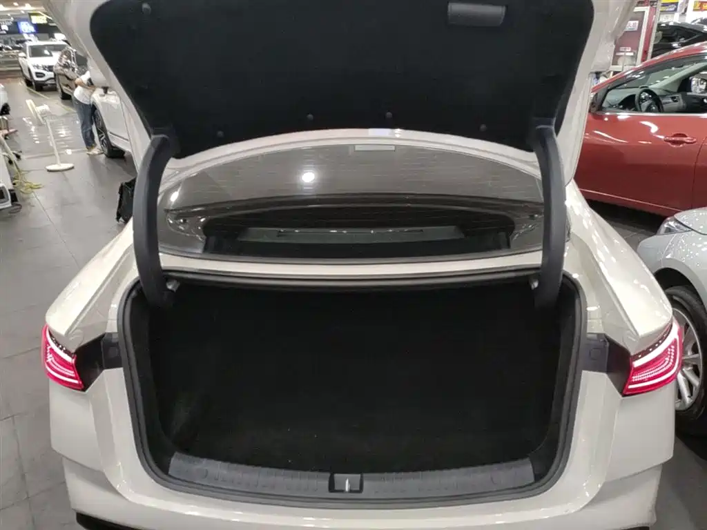 BYD Seal 06 New Energy 2024 DM-i 120KM Premium фото 18
