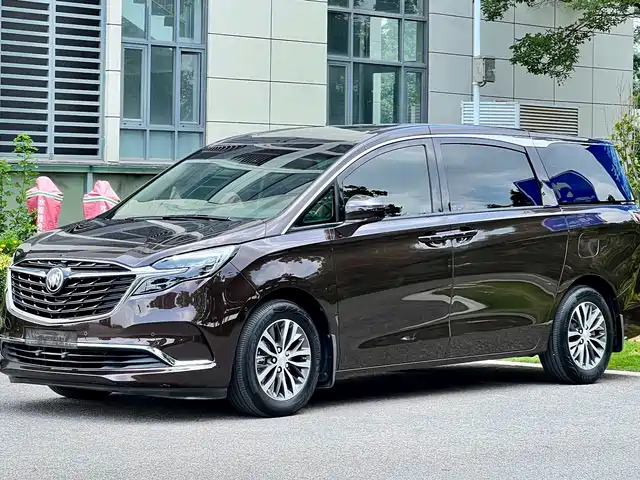 Buick GL8 ES Люкс, 653T, Престиж