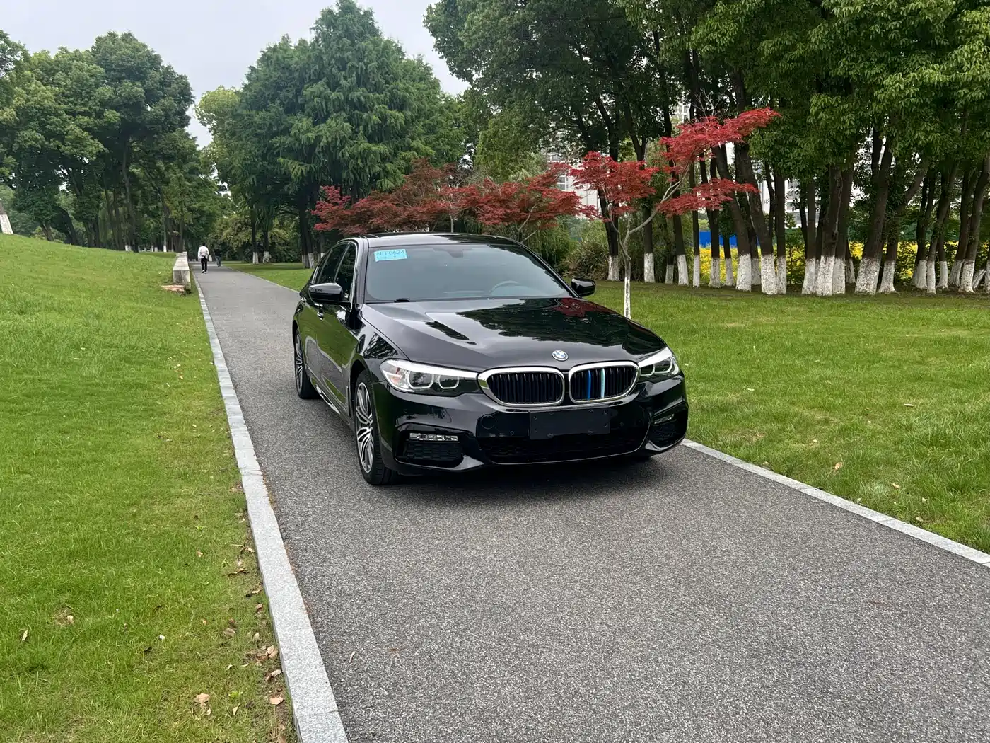 BMW 5 Series 2018 Facelift 530Li Leading M Sport Package фото 3