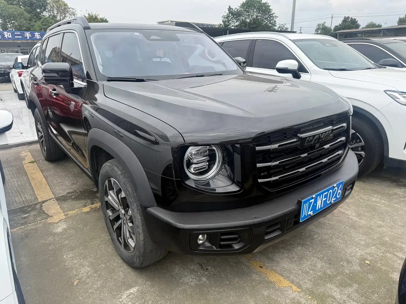 Haval Big Dog 2021 1.5T DCT 2WD Border Collie Edition фото 3