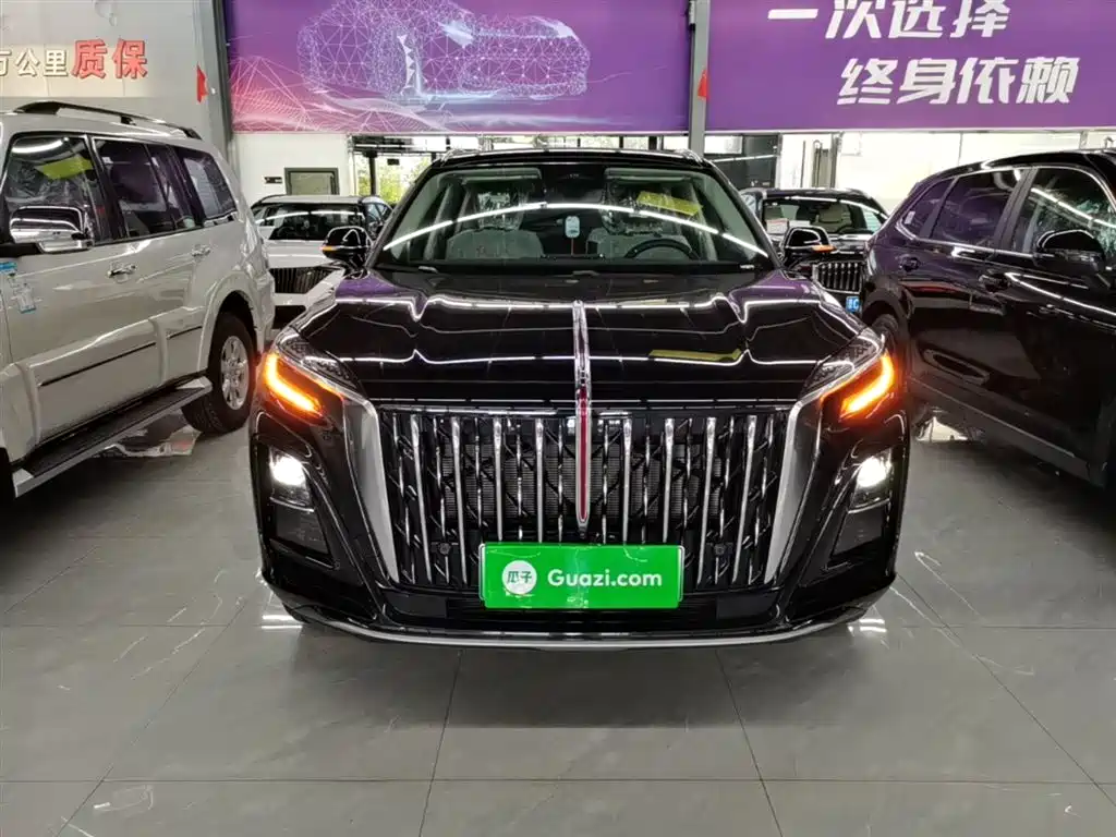 Hongqi HS3 PHEV 2025 PHEV 115km Power Edition фото 3