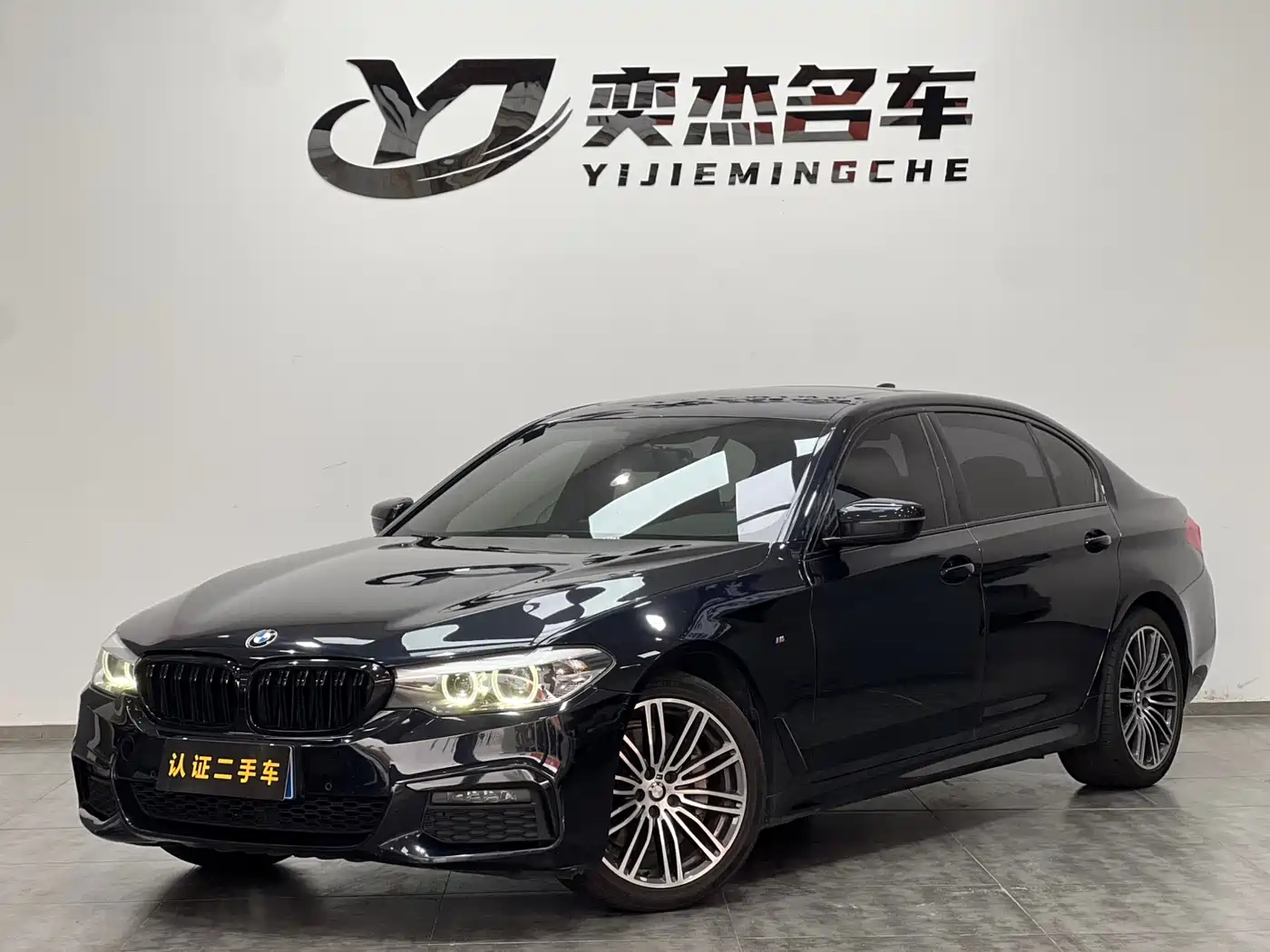 BMW 5 Series 2019 530Li Leading M Sport Package