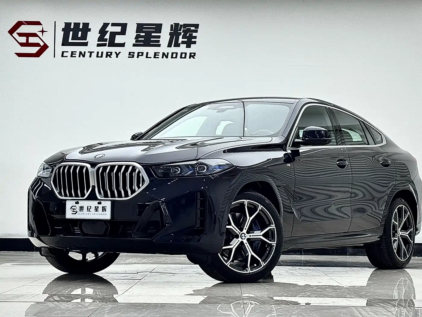 BMW X6 2023 xDrive40i Premium M Sport Package