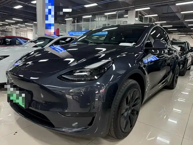 Tesla Model Y Задний привод