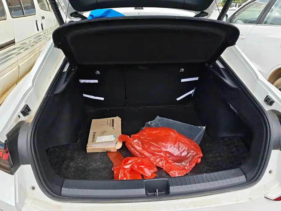 Volkswagen Lamando, миниатюра 4