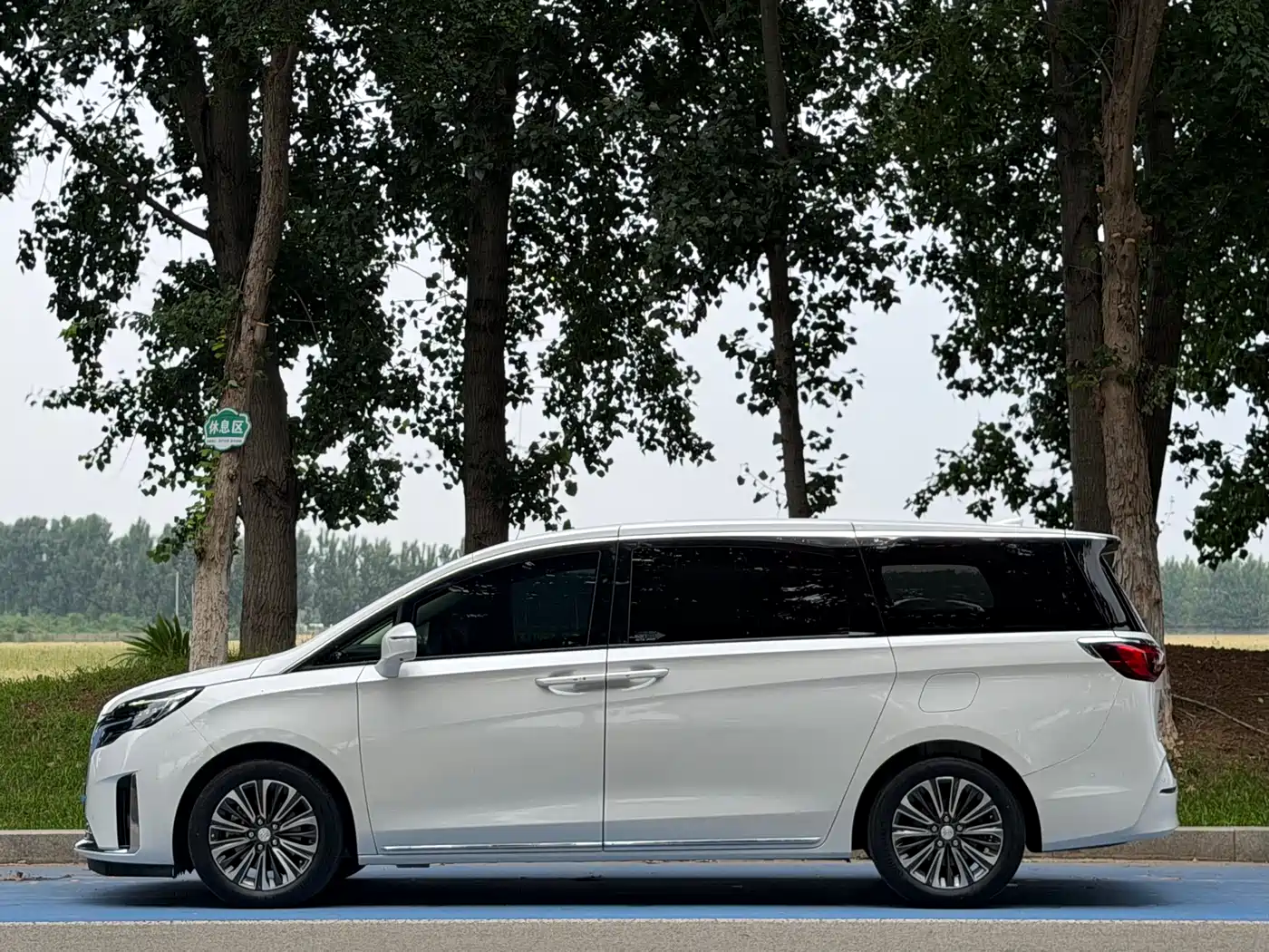 Buick GL8 2023 ES Landmaster Luxury фото 3