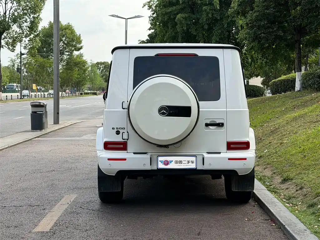 Mercedes-Benz G-Class 2020 G 500 фото 5