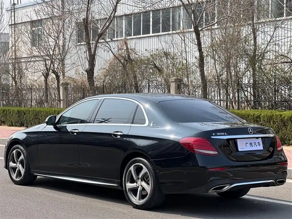 Mercedes-Benz E-Class 2017 E 200 L 4MATIC фото 7