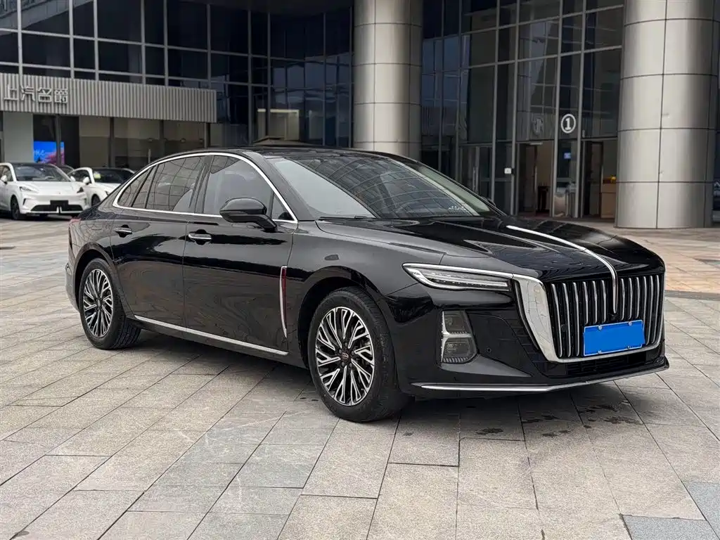 Hongqi H5 2024 2.0T Automatic Smart Connect Flag Enjoy Edition фото 3