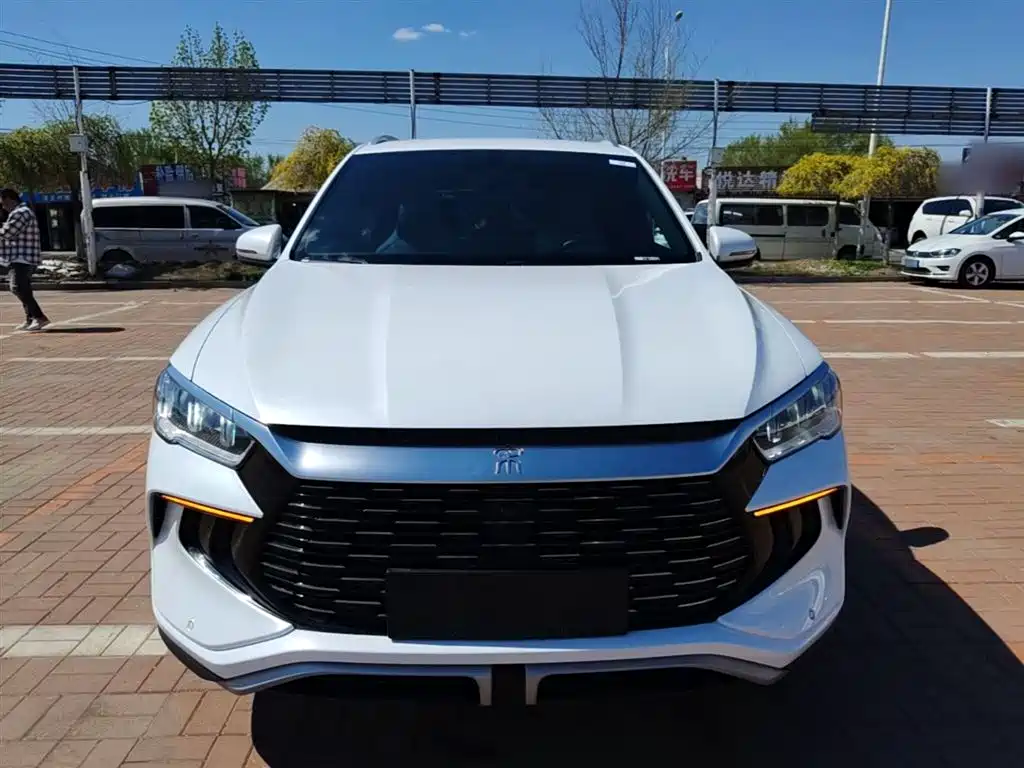 BYD Song Pro New Energy 2024 Glory Edition DM-i 71KM Pilot фото 3