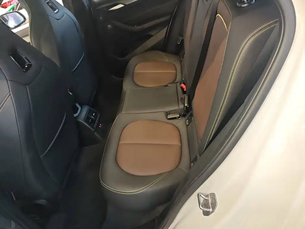BMW X2 2023 2023 sDrive 25i Radiance Edition