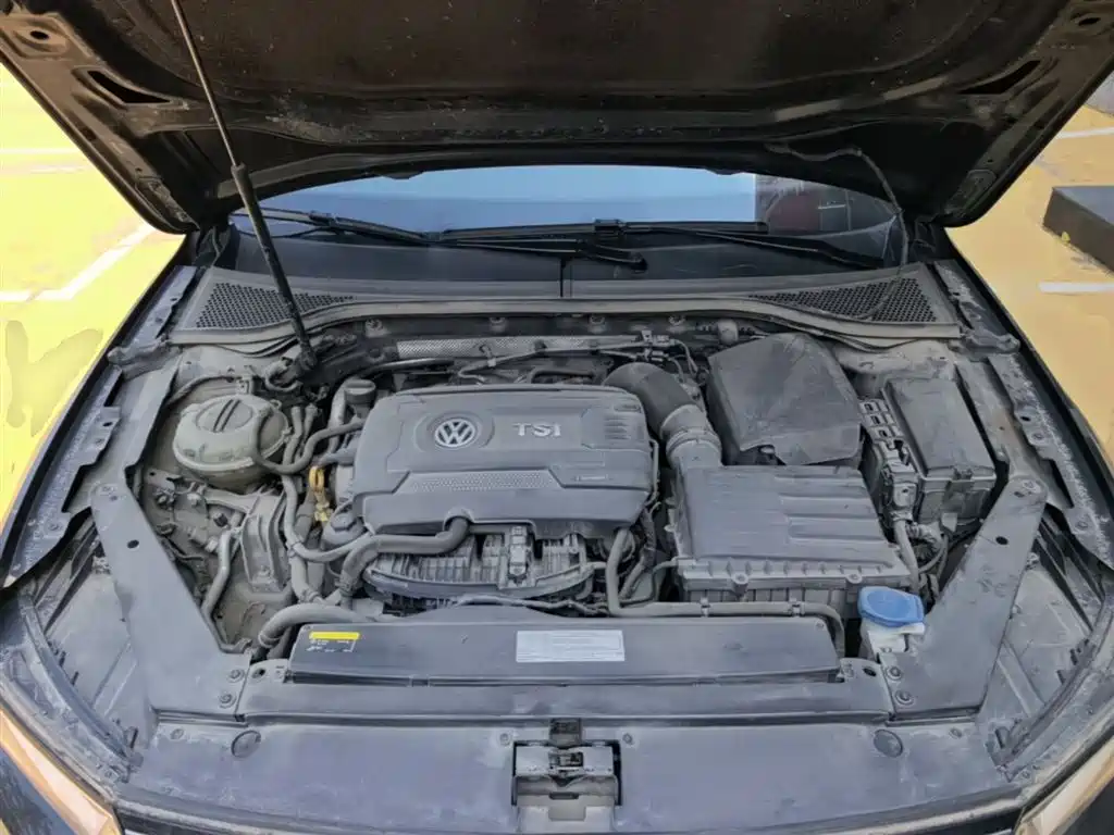 Volkswagen Magotan 2018 330TSI DSG Leading фото 20