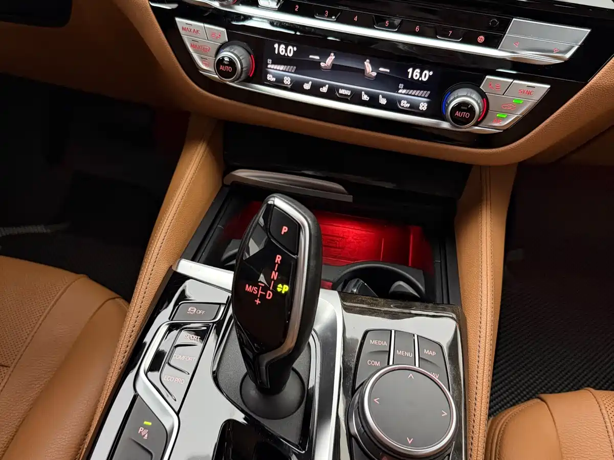BMW 5 Series 2020 530Li Exclusive M Sport Package фото 14