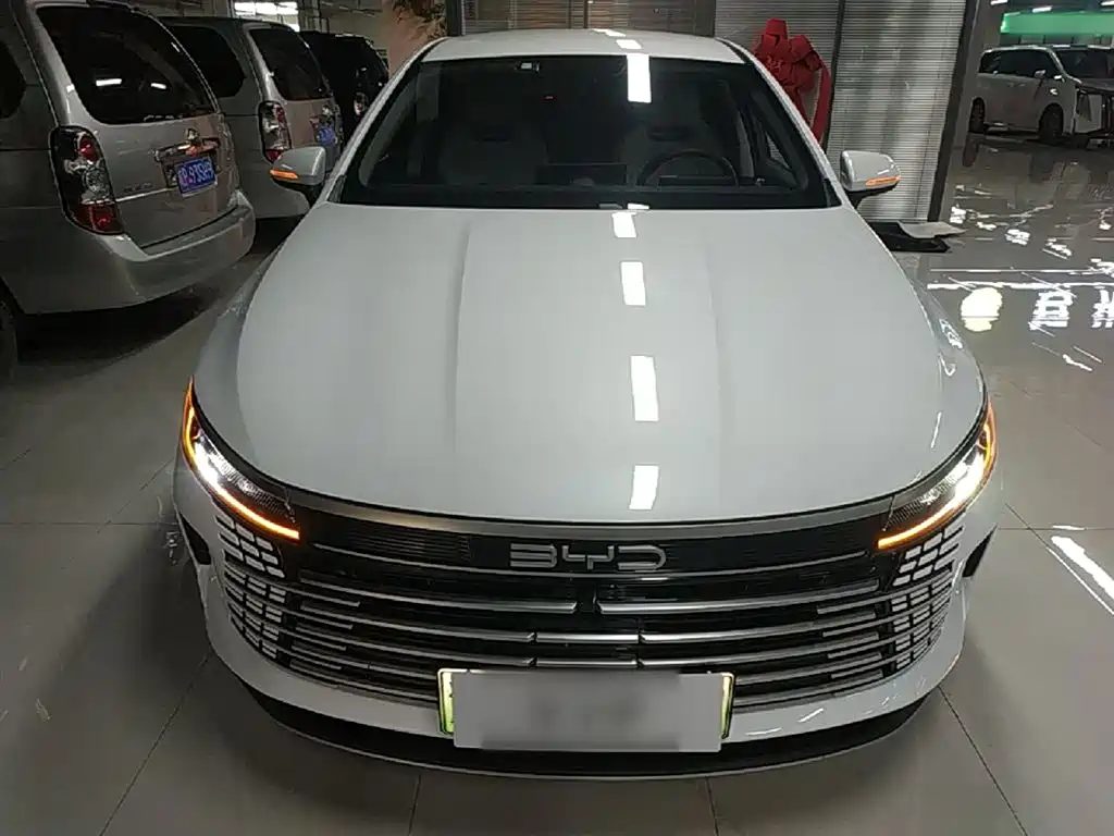BYD Destroyer 05 2024 Glory Edition DM-i 55KM Luxury фото 3