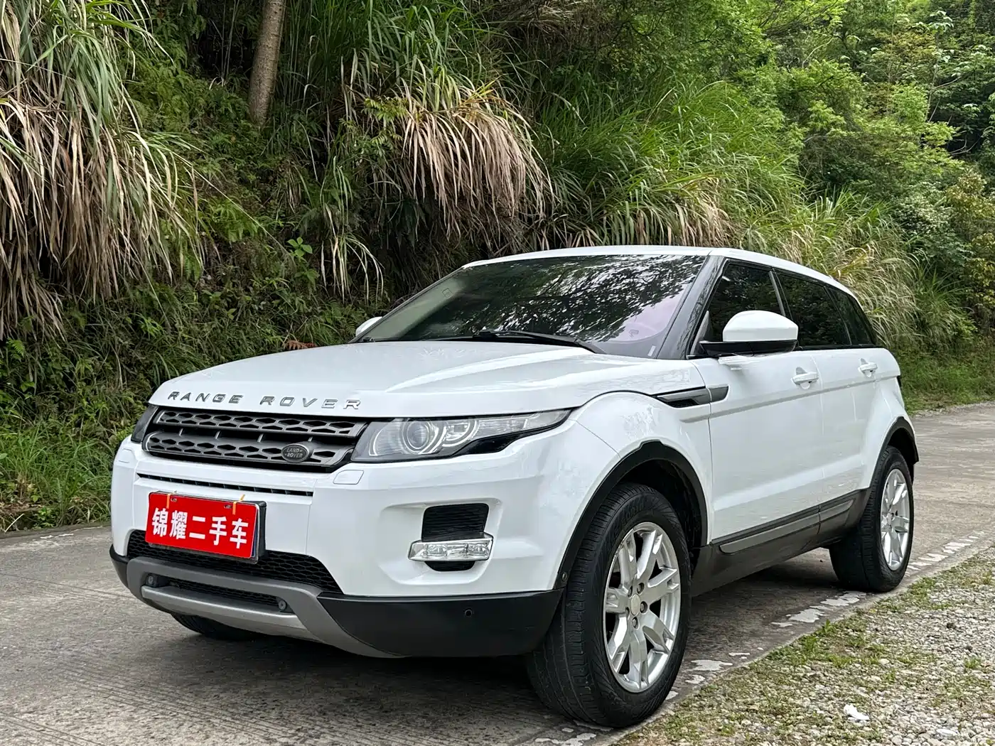 Land Rover Range Rover Evoque (Import) 2014 2.0T 5-door Brilliance Premium фото 3