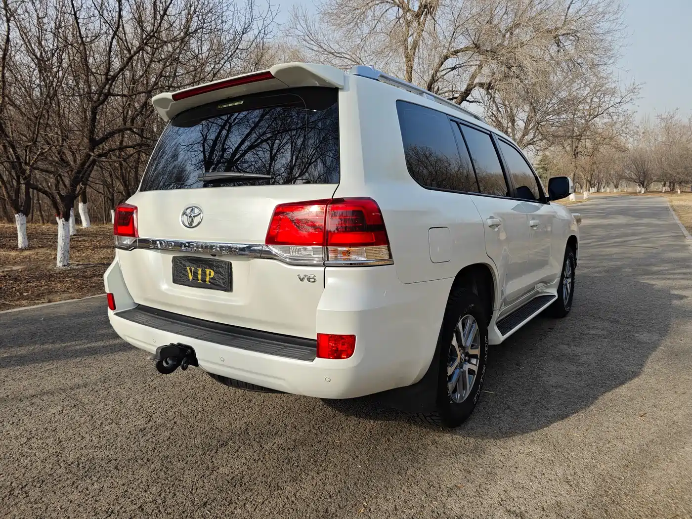 Toyota Land Cruiser (Import) фото 8
