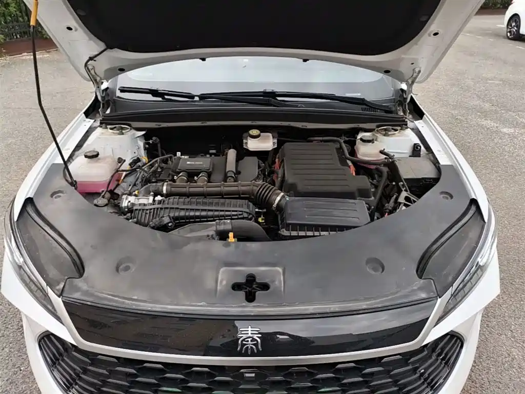 BYD Qin PLUS 2025 DM-i Smart Drive 55KM Leader фото 20