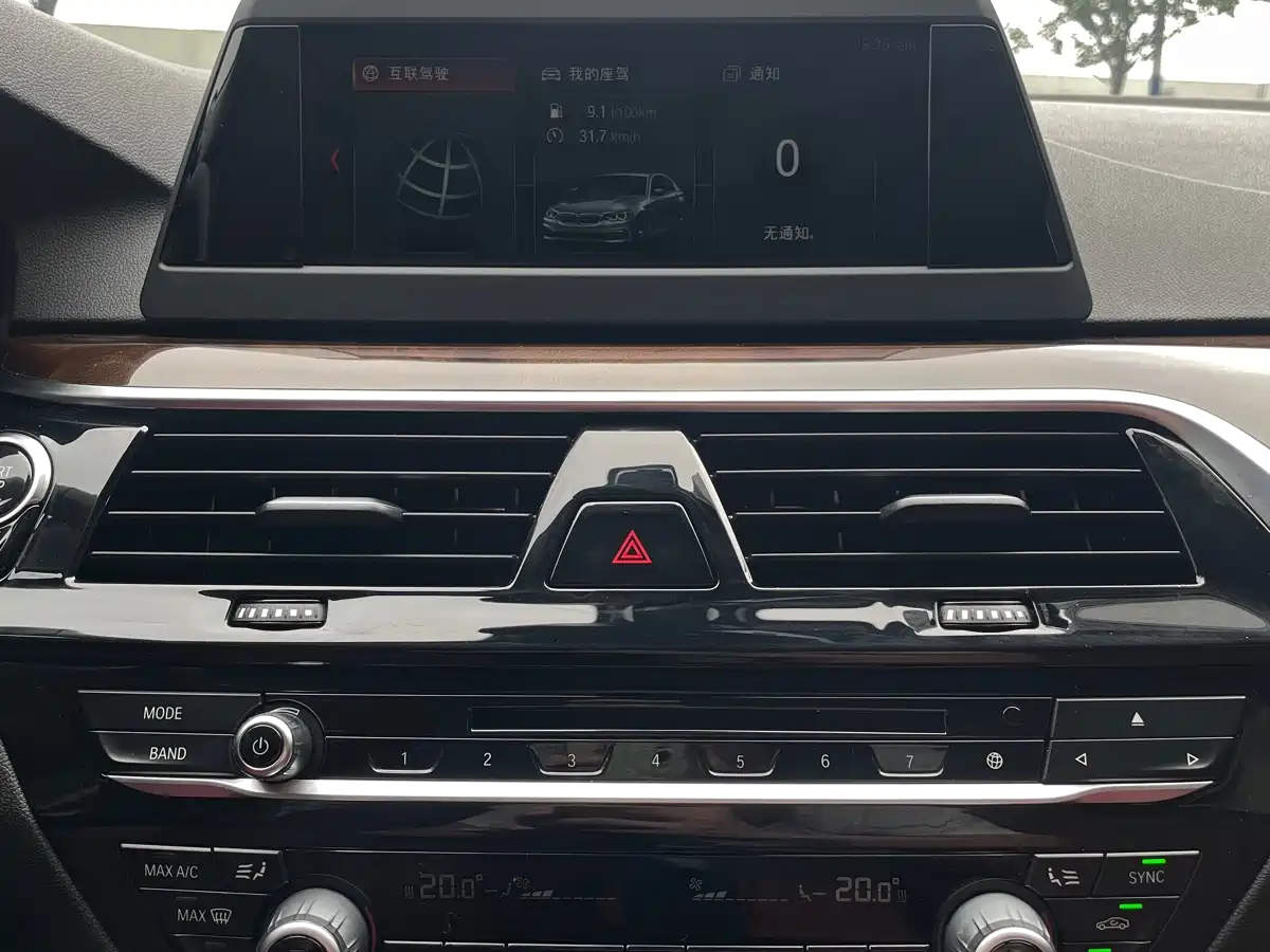 BMW 5 Series 2018 528Li Launch Special Edition фото 8