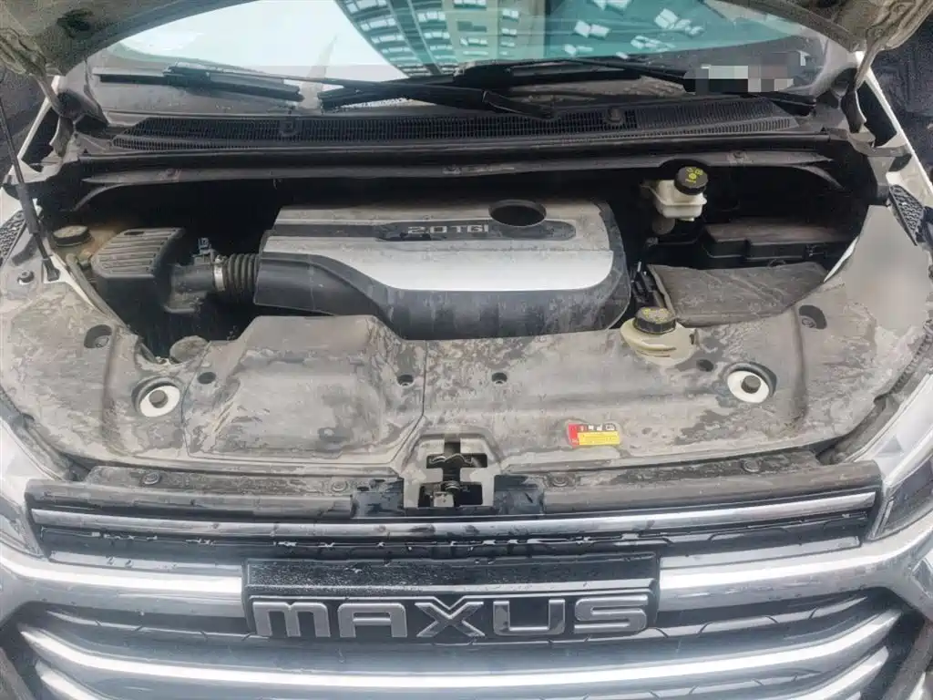SAIC Maxus Maxus G20 2021 PLUS 2.0T Gasoline Automatic Elegance Edition фото 11