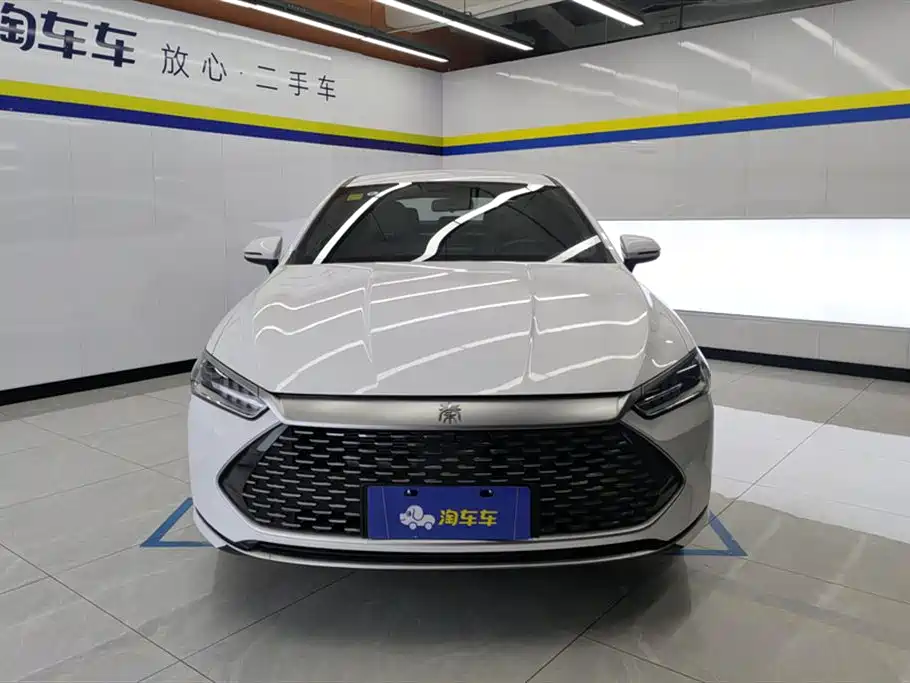 BYD Qin PLUS 2024 Glory Edition DM-i 55KM Leading фото 2