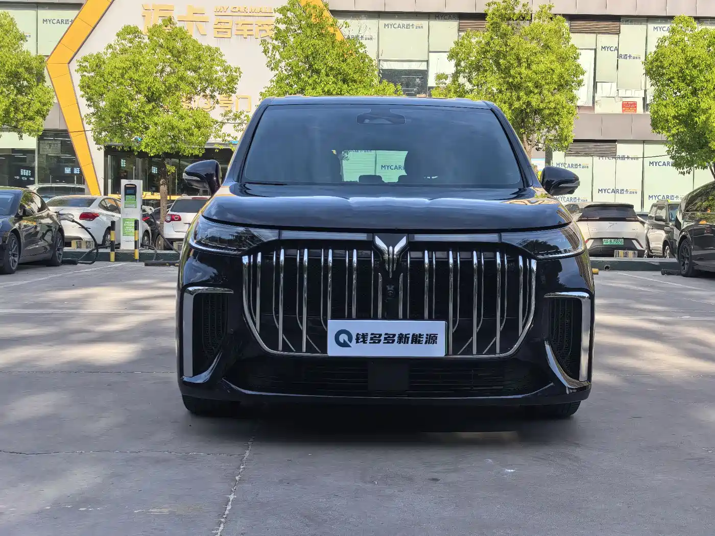 Voyah Auto Voyah Dreamer 2022 Low-carbon Dream+Smart Package фото 2