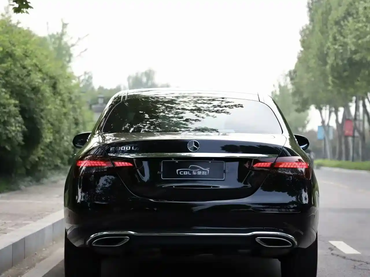 Mercedes-Benz Mercedes-Benz E-Class 2023 E 300 L Fashion 9