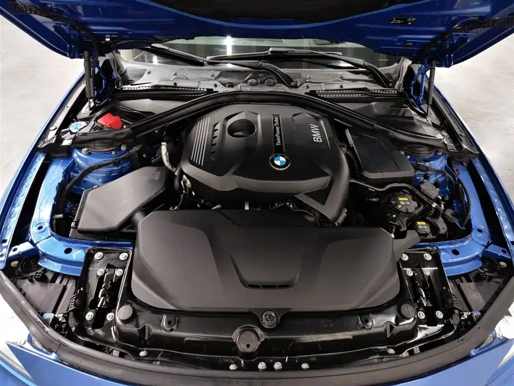 BMW 3 Series 2019 320Li M Sport Black Night Edition фото 6