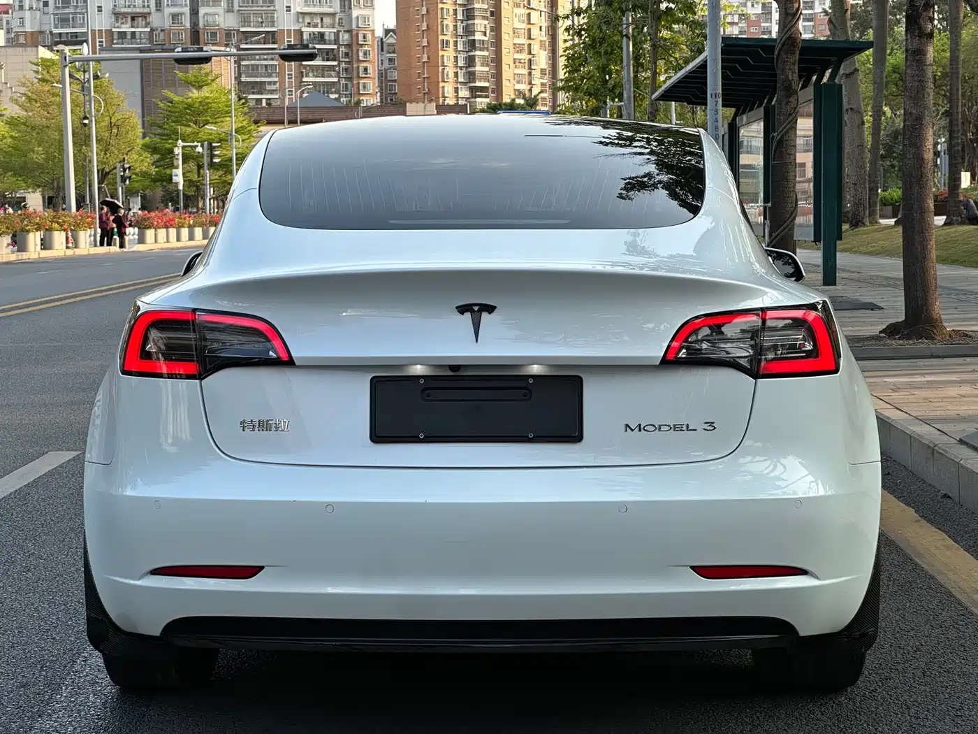 TESLA MODEL 3