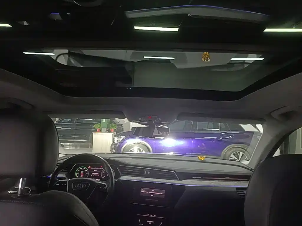 Audi e-tron (Import) 2019 55 quattro Technology фото 18