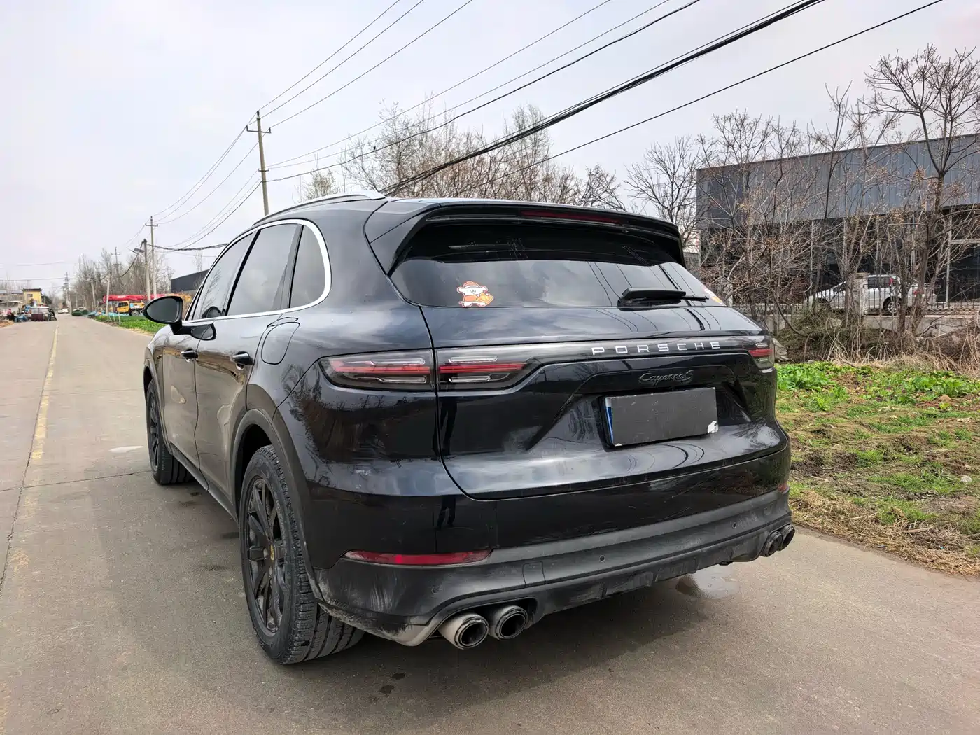 PORSCHE CAYENNE NEW ENERGY