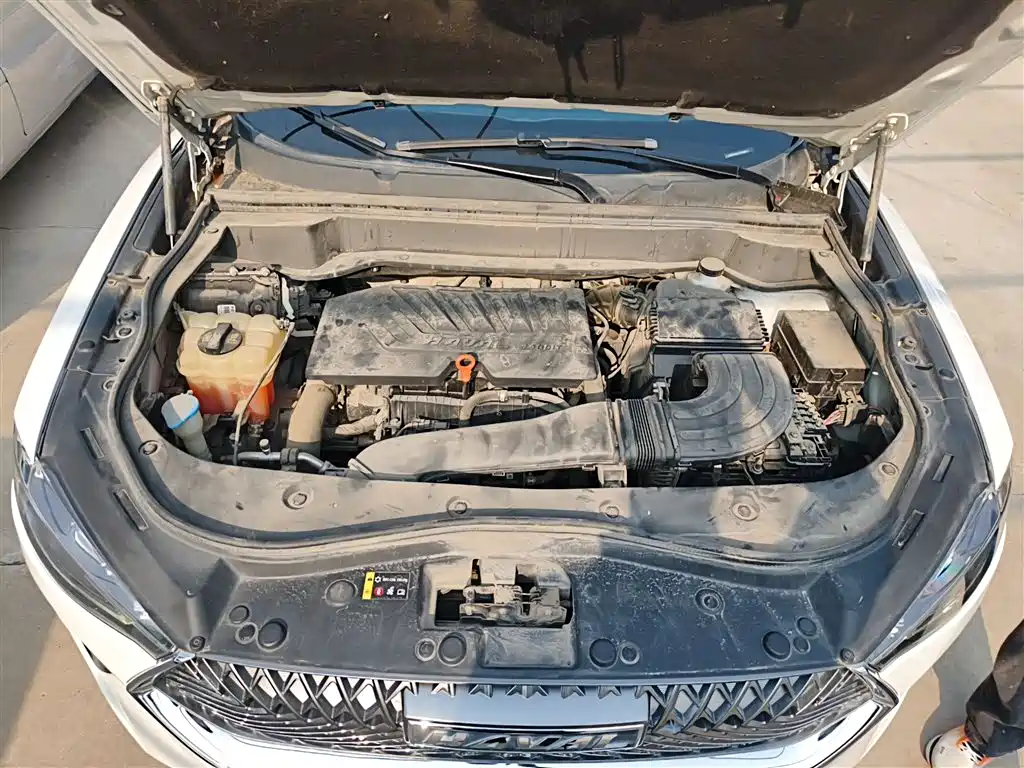 Haval F7 2021 1.5T 2WD i-Style фото 20