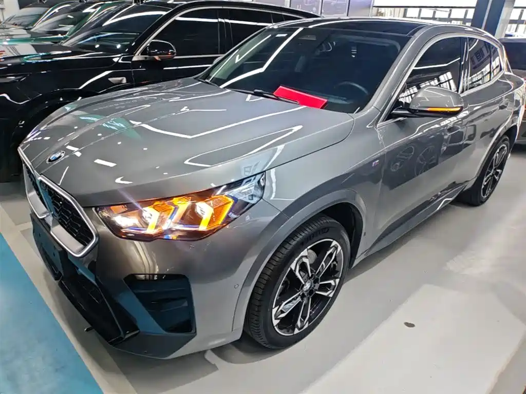 BMW X2 (Import) 2024 sDrive25i M Sport Package фото 2