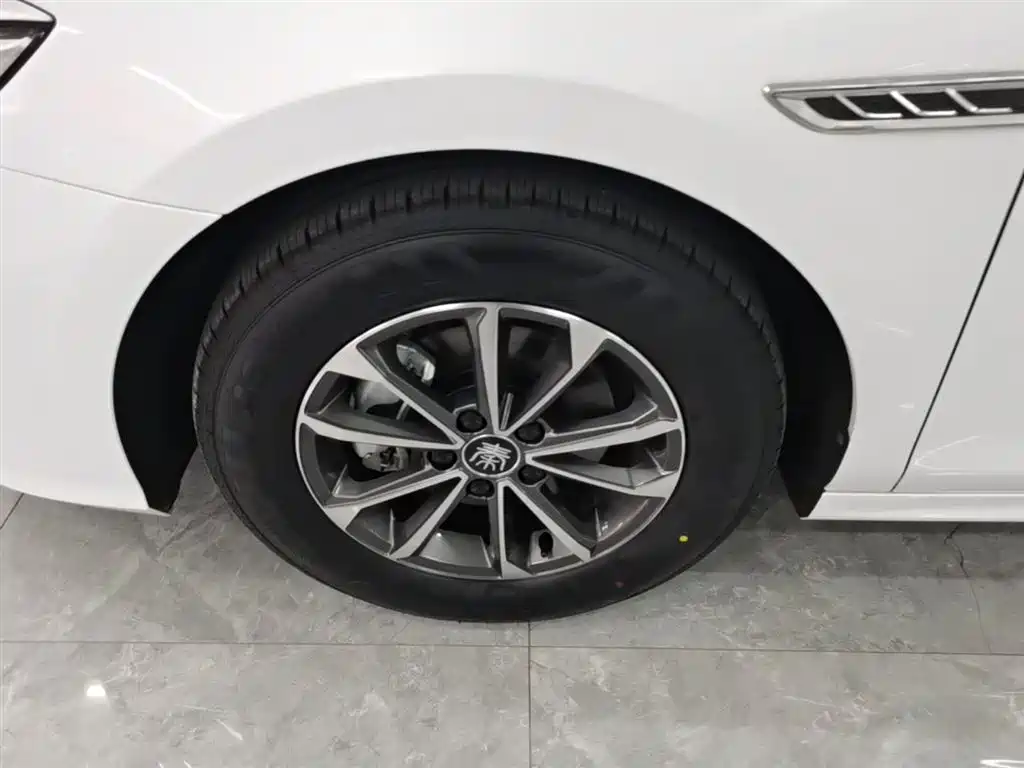 BYD Qin PLUS 2023 Champion Edition DM-i 55KM Leading фото 23