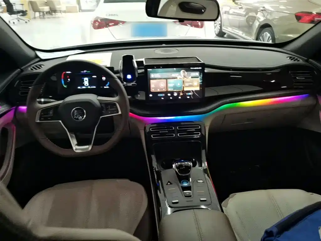 BYD Qin PLUS 2023 Champion Edition DM-i 55KM Leading фото 10