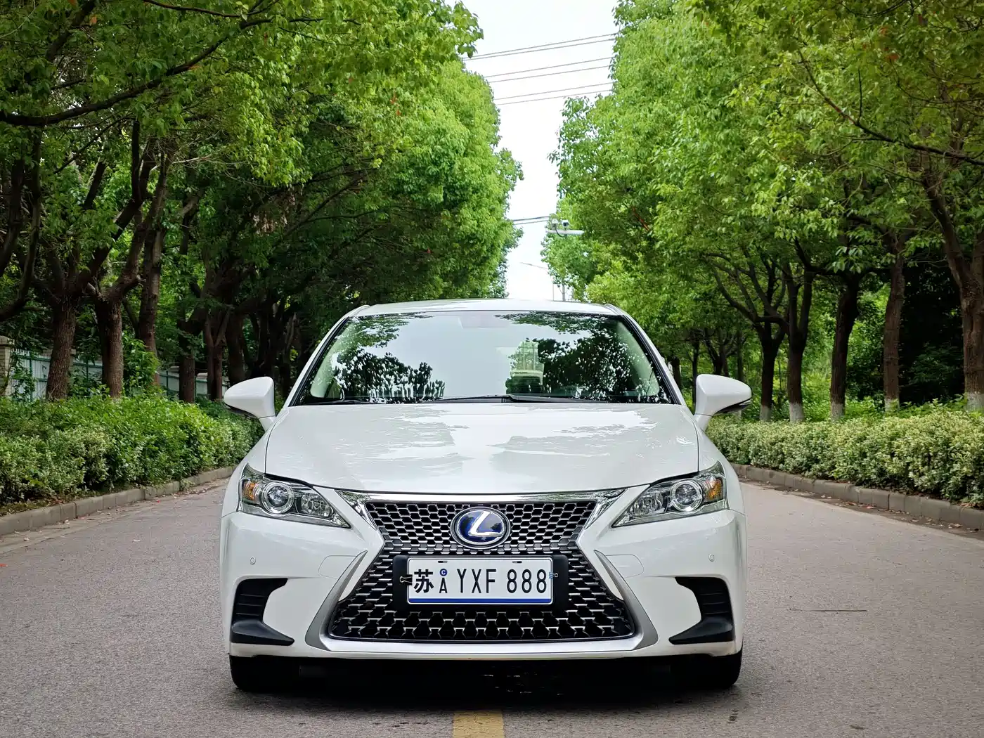 Lexus CT 2017 CT200h Elite Edition Monochrome China V фото 2