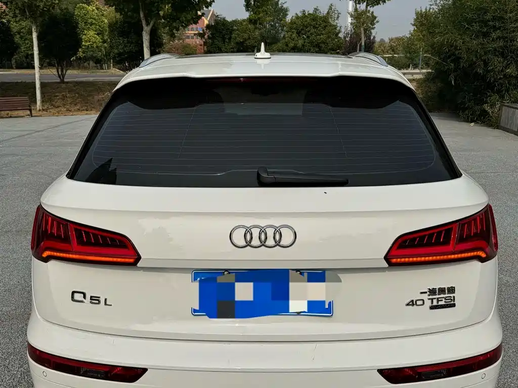 Audi Q5L 2018 40 TFSI Prestige Progressive (China V) фото 5
