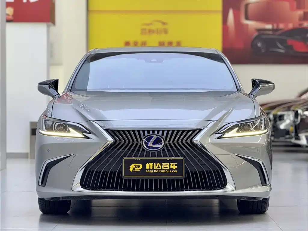 Lexus ES 2018 300h Excellence Edition China VI фото 5