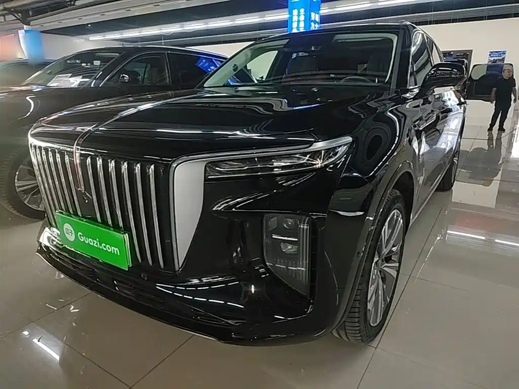 Hongqi E-HS9 2021 460km Flagship Comfort 6-seater