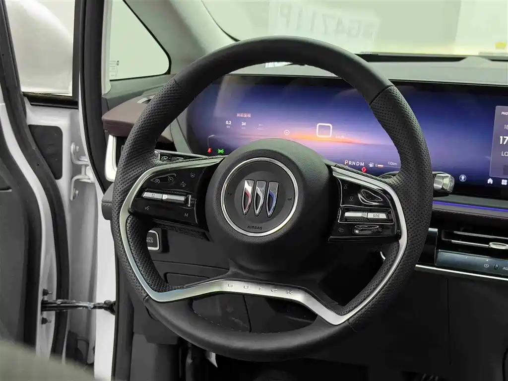 Buick Century 2025 2.0T 7-Seater World Edition фото 14