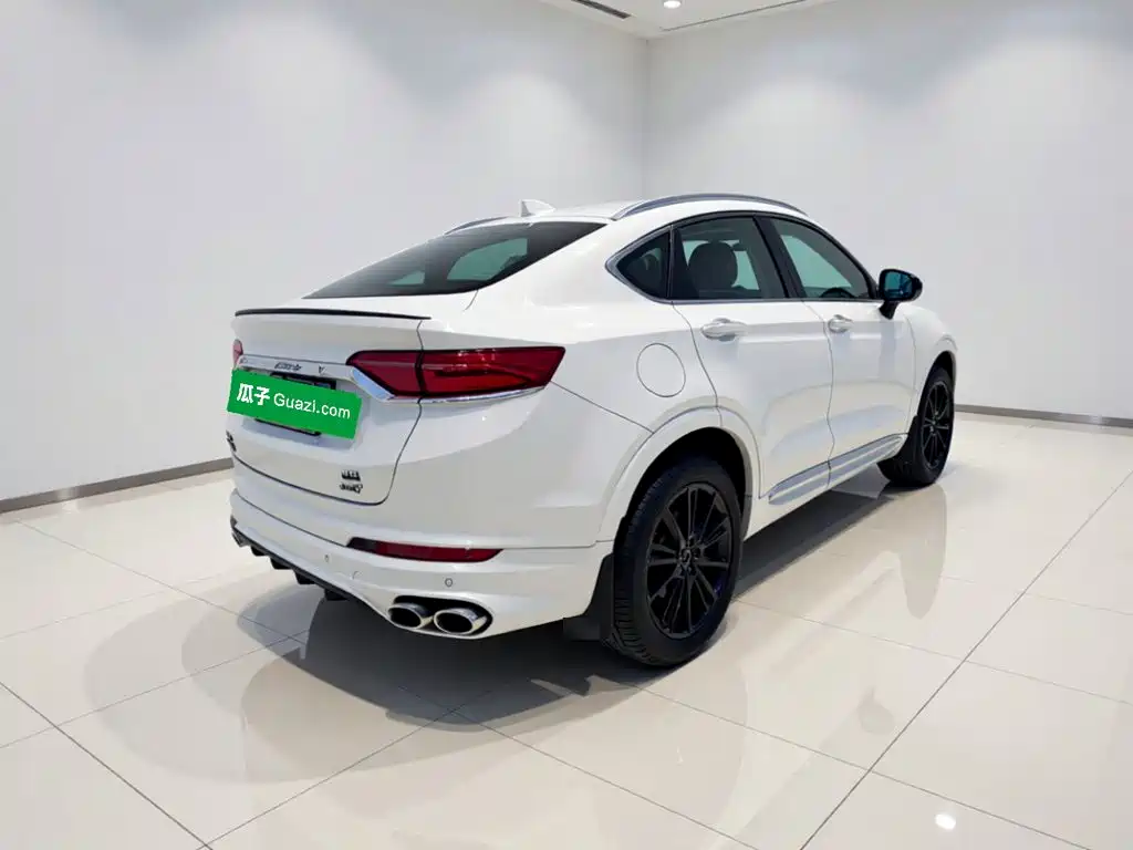 Фото 6 - Geely Tugella