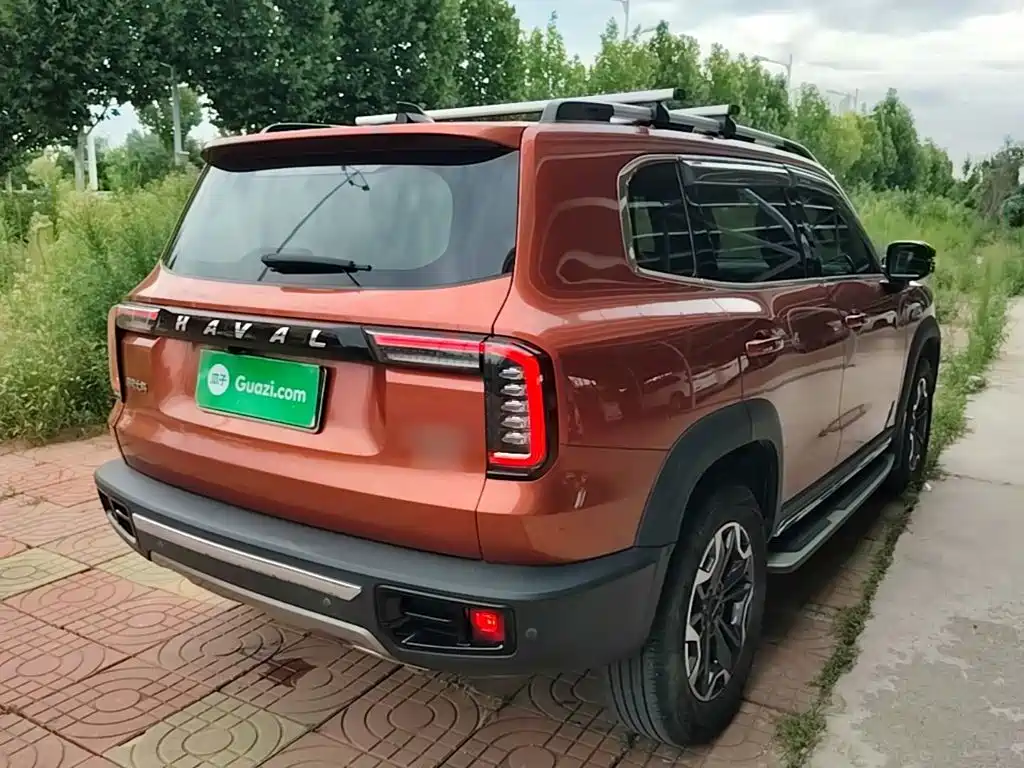 Haval Dargo 2021 2021 2.0T DCT 4WD Chinese Rural Dog Edition