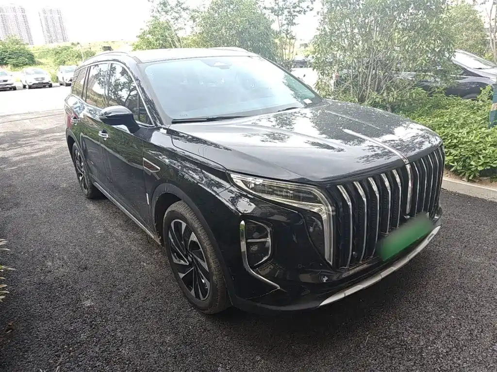 Hongqi HS7 PHEV 2024 2.0T PHEV 4WD Flagship Edition 6-seater фото 4