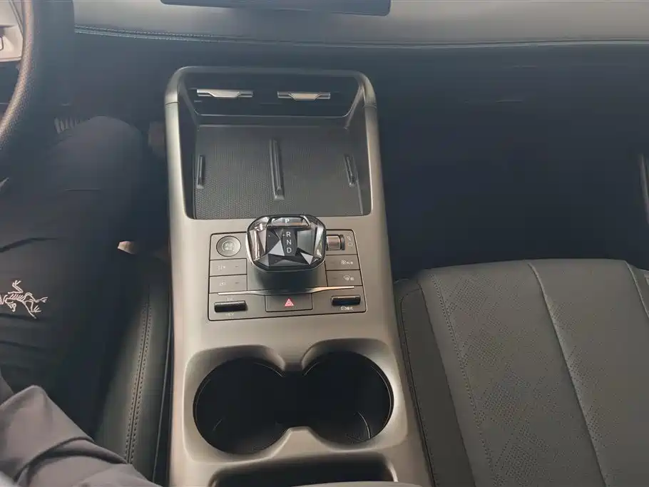 BYD Qin PLUS 2025 DM-i Smart Drive 55KM Leader фото 16